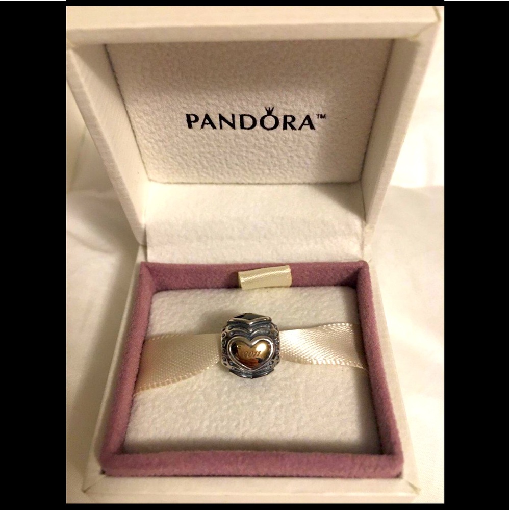 Pandora Black Friday 2011 LE charm